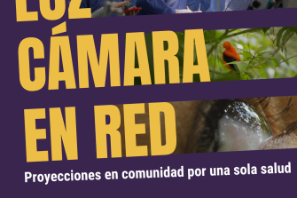 Luz, cámara, en red - Guía para profesionales de salud