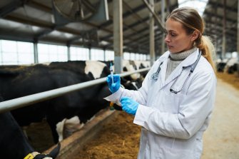 shape cap veterinary antibiotic use farming