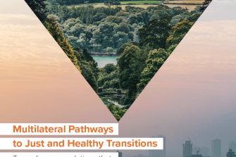 Multilateral pathways to just and healthy transitions report cover